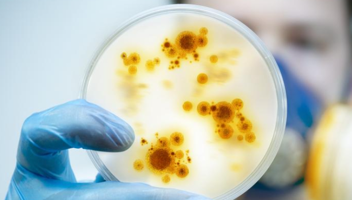 Las infecciones por superbacterias en hospitales ya matan tres veces más que los accidentes de tráfico