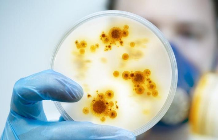 Las infecciones por superbacterias en hospitales ya matan tres veces más que los accidentes de tráfico