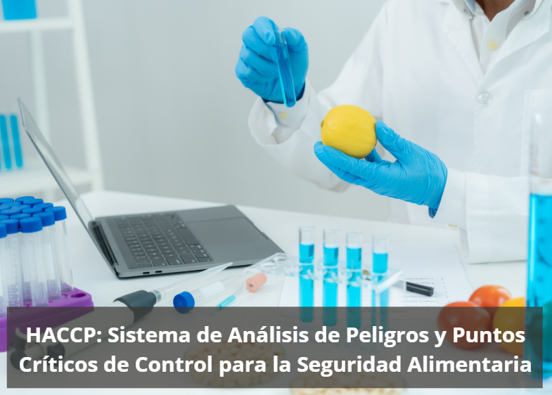 Seguridad alimentaria efectiva con HACCP: guía de análisis de peligros y puntos críticos